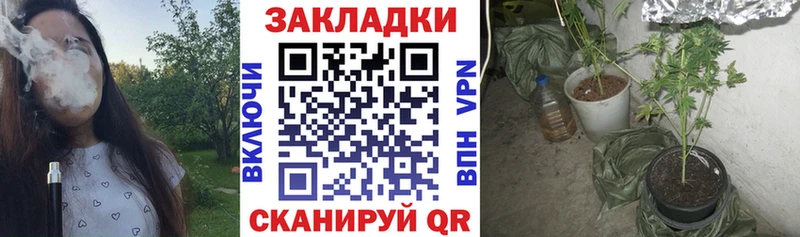 Виды наркотиков купить Могоча КОКАИН  NBOMe  Конопля  APVP 