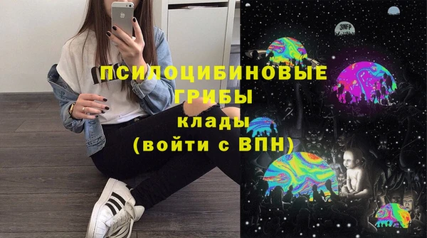 бошки Волоколамск