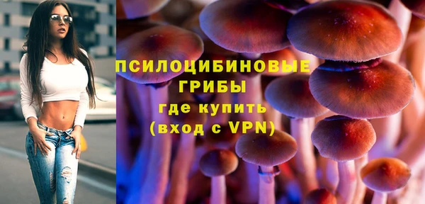 бошки Волоколамск